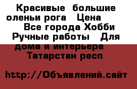 Красивые  большие оленьи рога › Цена ­ 3 000 - Все города Хобби. Ручные работы » Для дома и интерьера   . Татарстан респ.